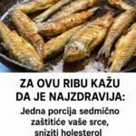 ZA OVU RIBU KAŽU DA JE NAJZDRAVIJA: Jedna porcija sedmično zaštitiće vaše srce, sniziti holesterol i popraviti memoriju