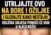 UTRLJAJTE OVO NA BORE I OŽILJKE I GLEDAJTE KAKO NESTAJU: Odlična smjesa pomoći će vam u njezi kože!