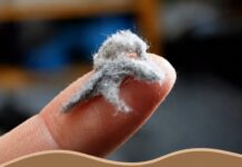 OVO JE JEDAN OD NAJPRLJAVIJIH PREDMETA U NAŠIM KUĆAMA, A TREBA DA BLISTA OD ČISTOĆE: Kad čujete šta je u pitanju, ZGROZIĆETE SE