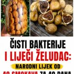 ČISTI BAKTERIJE I LIJEČI ŽELUDAC: Narodni lijek od 40 smokava za 40 dana