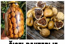 ČISTI BAKTERIJE I LIJEČI ŽELUDAC: Narodni lijek od 40 smokava za 40 dana