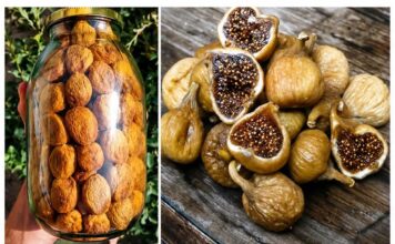 ČISTI BAKTERIJE I LIJEČI ŽELUDAC: Narodni lijek od 40 smokava za 40 dana