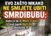 EVO ZAŠTO NIKAKO NE SMIJETE UBITI SMRDIBUBU: Dobro je da ih IMATE U KUĆI, kad čujete RAZLOG zavolićete ih