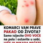 KOMARCI VAM PRAVE PAKAO OD ŽIVOTA? Samo isijecite OVO VOĆE na pola i ostavite u sobi, VIŠE IH NIKADA NEĆETE VIDJETI BLIZU!