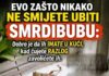 EVO ZAŠTO NIKAKO NE TREBA ZGNJEČITI SMRDIBUBU: Razlog je jednostavniji nego što mislite
