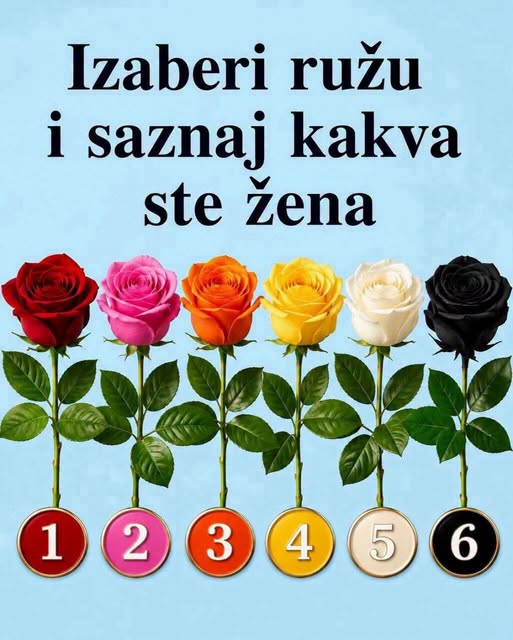 784904421_1043662248458809_7347625194641152865_n