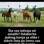 Šta vas izdvaja od ostalih?Odaberite jednog konja sa slike i otkrit ćete po čemu vas drugi ljudi pamte