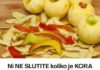 NEMOJTE BACATI KORU JABUKE: Evo šta sadrži i zašto je korisno pojesti cijeli plod