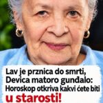 LAV I U STAROSTI TRAŽI PAŽNJU, DEVICA SVE VIŠE PRIGOVARA: Horoskop otkriva kakvi postajemo s godinama!