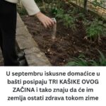 U septembru iskusne domaćice u bašti posipaju TRI KAŠIKE OVOG ZAČINA i tako znaju da će im zemlja ostati zdrava tokom zime