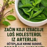 ZAČIN KOJI IZBACUJE LOŠ HOLESTEROL IZ ARTERIJA: OTČEPLJUJE KRVNE SUDOVE, SPREČAVA INFARKT!