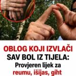OBLOG KOJI IZVLAČI SAV BOL IZ TIJELA: Prirodno riješenje za reumu, išijas, giht i artritis…