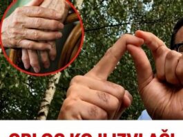 OBLOG KOJI IZVLAČI SAV BOL IZ TIJELA: Prirodno riješenje za reumu, išijas, giht i artritis…