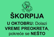 ŠKORPIJA U OKTOBRU: SVE SE MIJENJA IZ KORIJENA – stiže VELIKI PREOKRET koji donosi NOVAC, LJUBAV i SREĆU kakvu dugo niste osjetili!