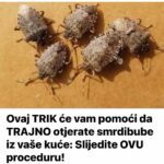 OVAJ TRIK ĆE VAM POMOŽI DA SE TRAJNO RIJEŠITE SMRDIBUBA