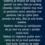 KAD SE NAŠE DIJETE R0DIL0, M0JA SVEKRVA JE…