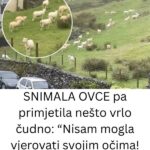 SNIMALA OVCE pa primjetila nešto vrlo čudno: “Nisam mogla vjerovati svojim očima! Da li vi vidite ovo?
