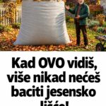 Kad OVO vidiš, više nikad nećeš baciti jesensko lišće!