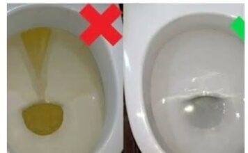 Sipajte samo 50 grama ovog praha u WC šolju i zaboravite na ribanje: BIT ĆE KAO NOVA