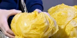 Kako da vam kiseli kupus bude žut kao dukat: Tajna je u 1 nevjerovatnom sastojku