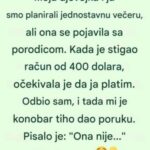 Mislio sam da upoznajem njenu porodicu — a zapravo sam bio pozvan da platim račun
