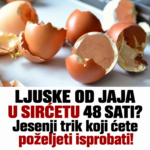 U jesen LJUSKE OD JAJA potapam u SIRĆE na 48 sati: Rezultat me svaki put oduševi, a ovu caku ponavljam iz godine u godinu