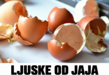 U jesen LJUSKE OD JAJA potapam u SIRĆE na 48 sati: Rezultat me svaki put oduševi, a ovu caku ponavljam iz godine u godinu
