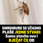 SMRDIBUBE SE UŽASNO PLAŠE JEDNE STVARI: Samo stavite ovo i BJEŽAT ĆE OD VAŠE KUĆE